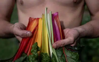 Ruralités queers